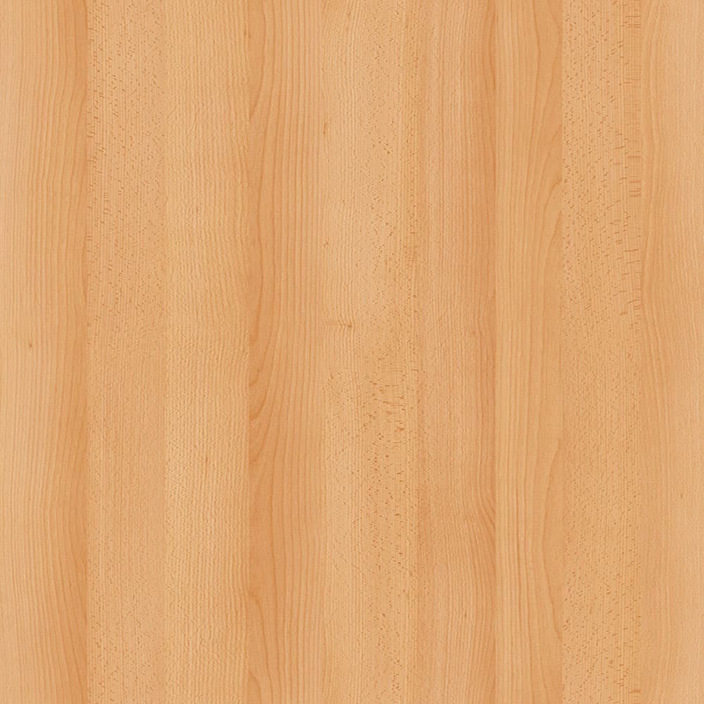 BEECH