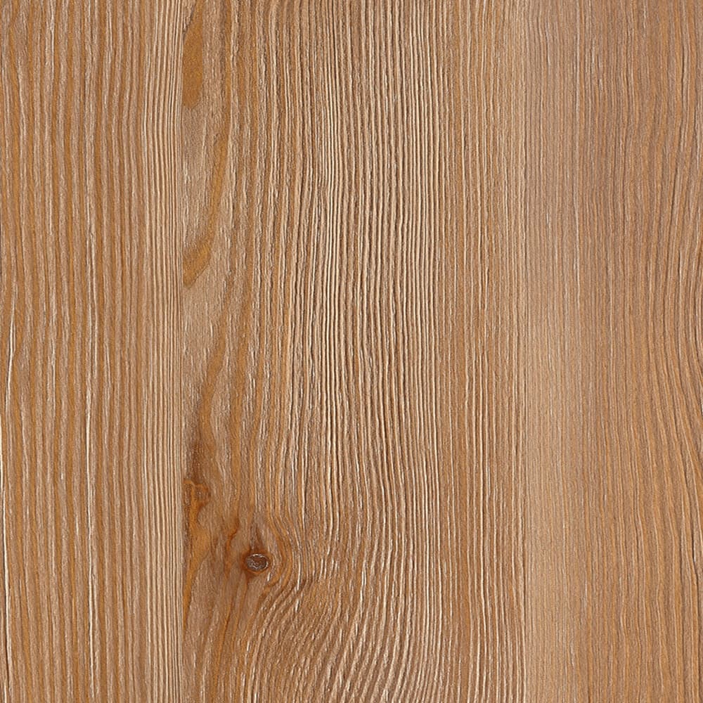 TAMNA IDA LARCH
