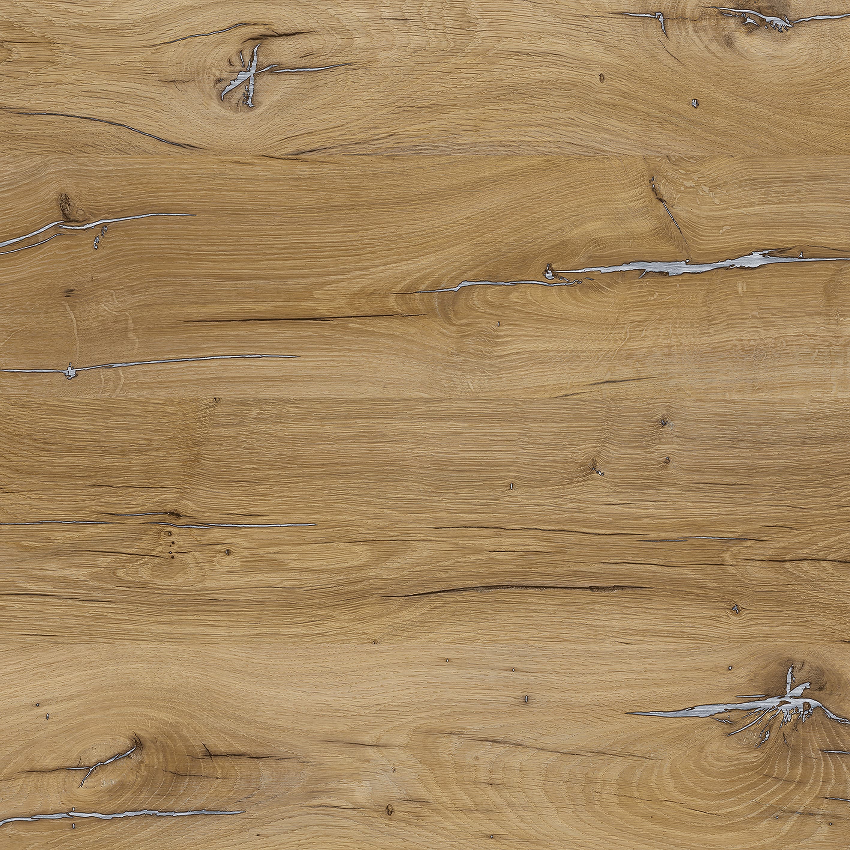 CELTIC OAK